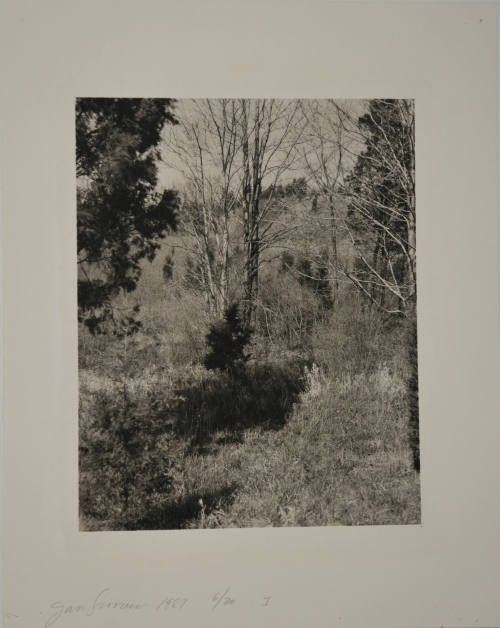 © Jan Groover.  Image courtesy Michael C. Carlos Museum, Emory University.