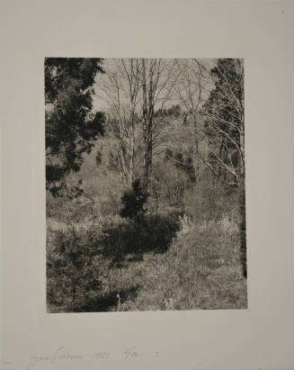 © Jan Groover.  Image courtesy Michael C. Carlos Museum, Emory University.