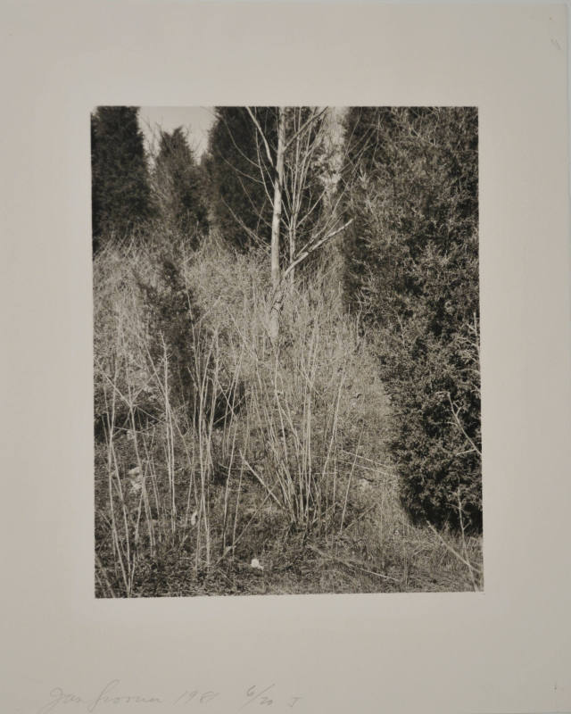 © Jan Groover.  Image courtesy Michael C. Carlos Museum, Emory University.