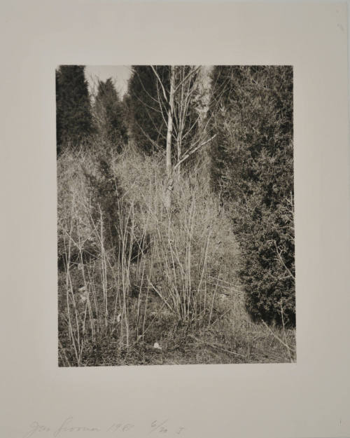 © Jan Groover.  Image courtesy Michael C. Carlos Museum, Emory University.