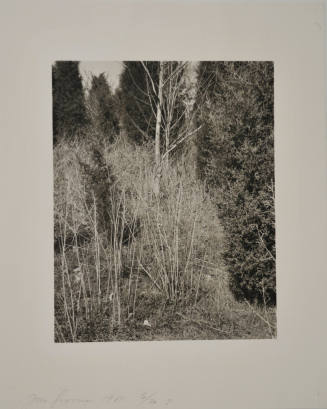 © Jan Groover.  Image courtesy Michael C. Carlos Museum, Emory University.