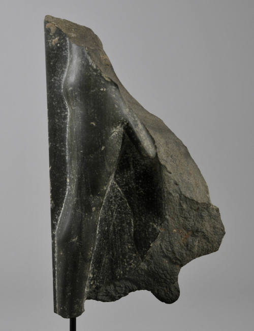 Michael C. Carlos Museum, Emory University