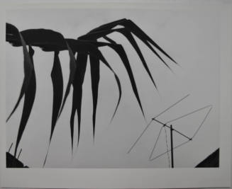 © Archivo Manuel Álvarez Bravo, S.C.  Image courtesy Michael C. Carlos Museum, Emory University ...