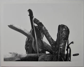 © Archivo Manuel Álvarez Bravo, S.C.  Image courtesy Michael C. Carlos Museum, Emory University ...