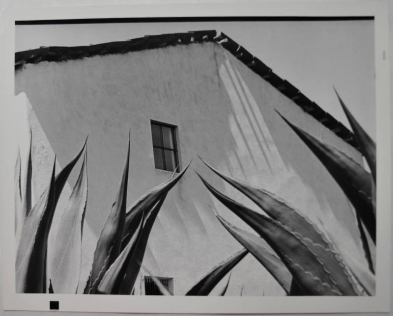 © Archivo Manuel Álvarez Bravo, S.C.  Image courtesy Michael C. Carlos Museum, Emory University ...