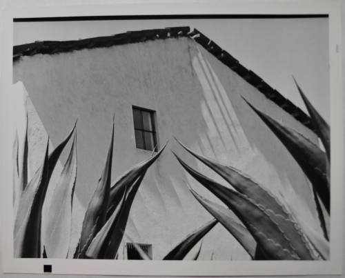 © Archivo Manuel Álvarez Bravo, S.C.  Image courtesy Michael C. Carlos Museum, Emory University ...