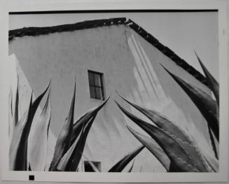 © Archivo Manuel Álvarez Bravo, S.C.  Image courtesy Michael C. Carlos Museum, Emory University ...