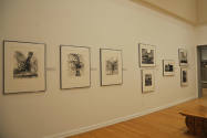 Artworks © estate of Mildred Thompson. Images courtesy of the Michael C. Carlos Museum, Emory U ...