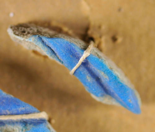 © Michael C. Carlos Museum, Emory University