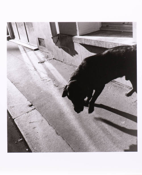 © Louis Stettner Estate.  Image courtesy Michael C. Carlos Museum, Emory University.  Photo by  ...