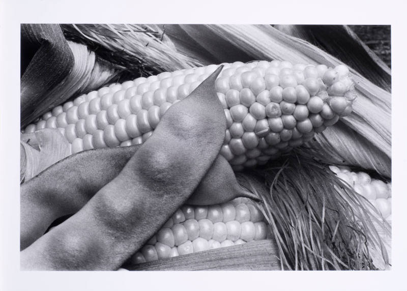 © Louis Stettner Estate.  Image courtesy Michael C. Carlos Museum, Emory University.  Photo by  ...