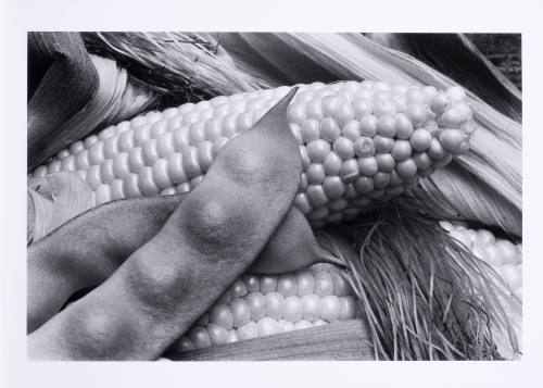 © Louis Stettner Estate.  Image courtesy Michael C. Carlos Museum, Emory University.  Photo by  ...