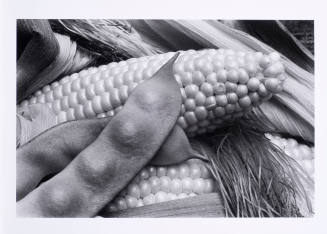 © Louis Stettner Estate.  Image courtesy Michael C. Carlos Museum, Emory University.  Photo by  ...