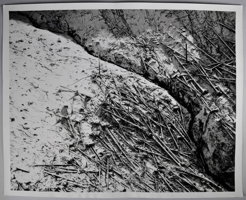 © Marilyn Bridges.  Image courtesy Michael C. Carlos Museum, Emory University.