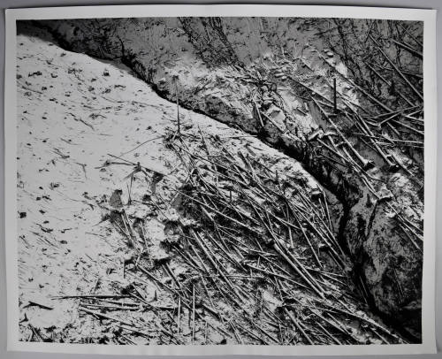 © Marilyn Bridges.  Image courtesy Michael C. Carlos Museum, Emory University.