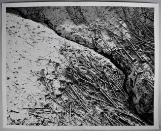 © Marilyn Bridges.  Image courtesy Michael C. Carlos Museum, Emory University.