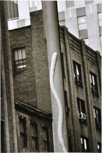 © Louis Stettner Estate.  Image courtesy Michael C. Carlos Museum, Emory University.