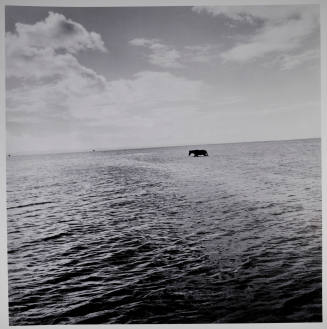 © Kristin Capp. Image courtesy Michael C. Carlos Museum, Emory University