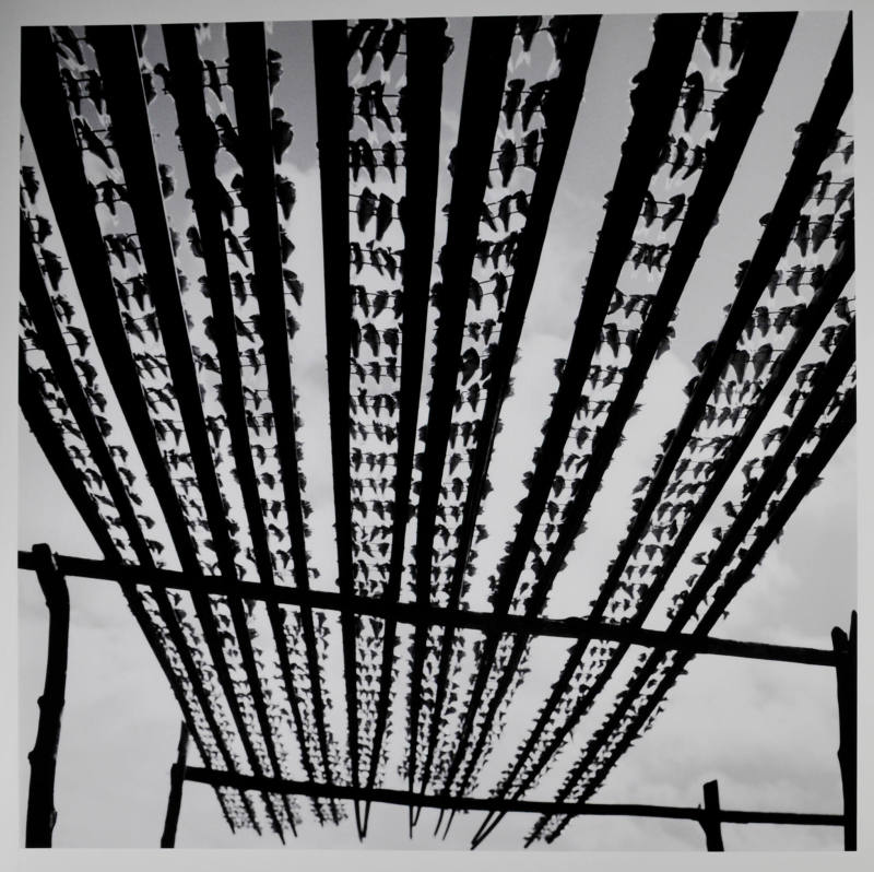 © Kristin Capp. Image courtesy Michael C. Carlos Museum, Emory University