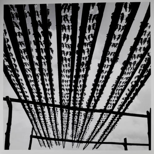 © Kristin Capp. Image courtesy Michael C. Carlos Museum, Emory University
