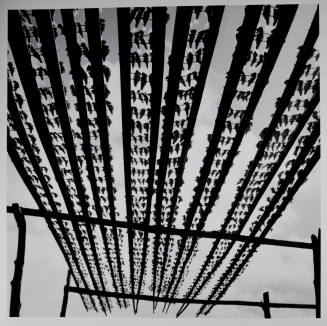 © Kristin Capp. Image courtesy Michael C. Carlos Museum, Emory University