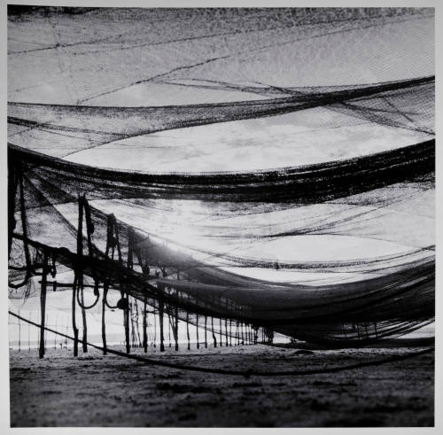 © Kristin Capp. Image courtesy Michael C. Carlos Museum, Emory University