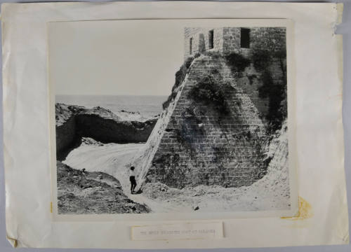 © Michael C. Carlos Museum, Emory University