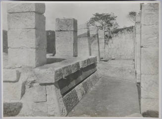 © Michael C. Carlos Museum, Emory University
