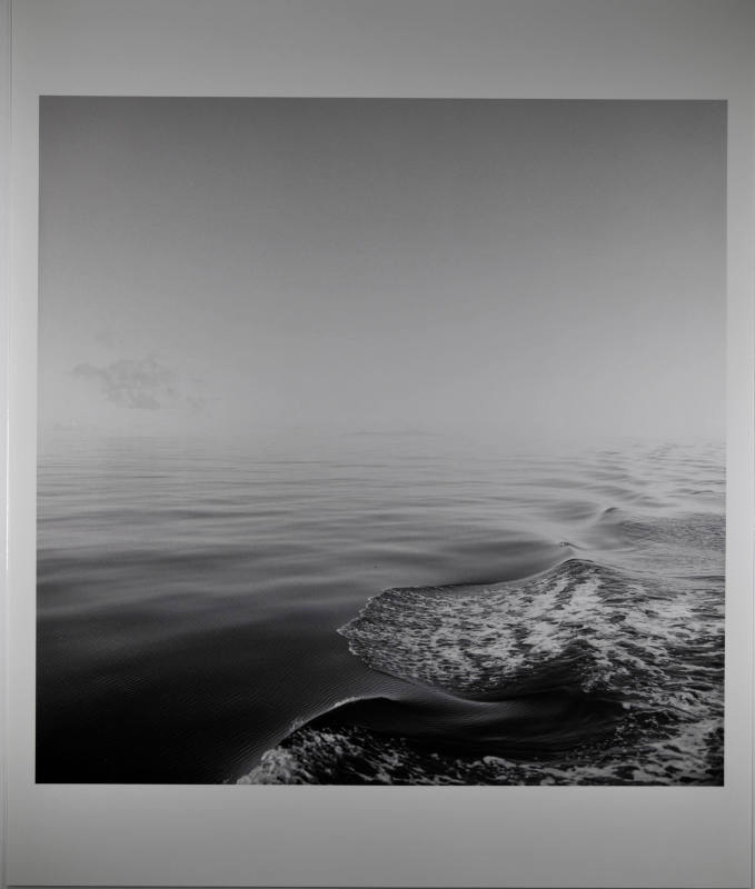 © Sally Gall.  Image courtesy Michael C. Carlos Museum, Emory University.