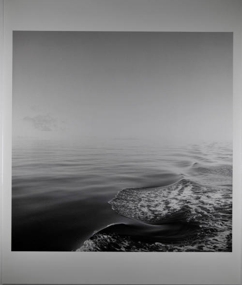 © Sally Gall.  Image courtesy Michael C. Carlos Museum, Emory University.