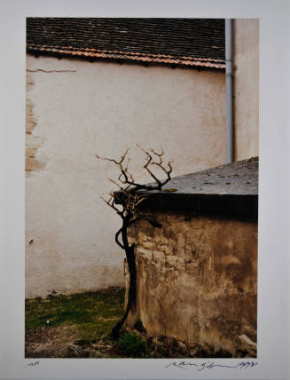 © Ralph Gibson.  Image courtesy of Michael C. Carlos Museum, Emory University.