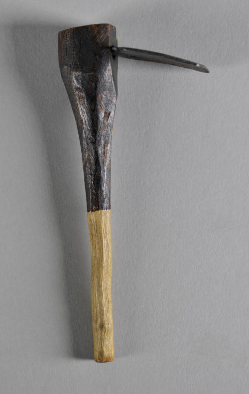 © Michael C. Carlos Museum, Emory University