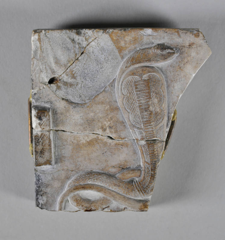 © Michael C. Carlos Museum, Emory University