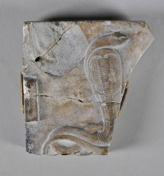 © Michael C. Carlos Museum, Emory University