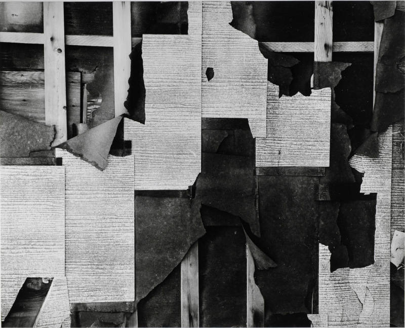 © Estate of Brett Weston.  Image courtesy Michael C. Carlos Museum, Emory University.