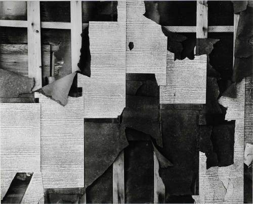 © Estate of Brett Weston.  Image courtesy Michael C. Carlos Museum, Emory University.