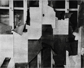 © Estate of Brett Weston.  Image courtesy Michael C. Carlos Museum, Emory University.