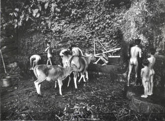 © Estate of Ken Heyman.  Image courtesy Michael C. Carlos Museum, Emory University.