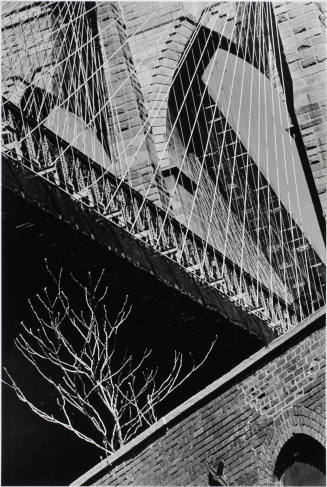 © Louis Stettner Estate.  Image courtesy Michael C. Carlos Museum, Emory University.