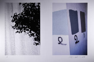 © Ralph Gibson.  Image courtesy of Michael C. Carlos Museum, Emory University.