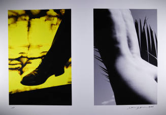 © Ralph Gibson.  Image courtesy of Michael C. Carlos Museum, Emory University.