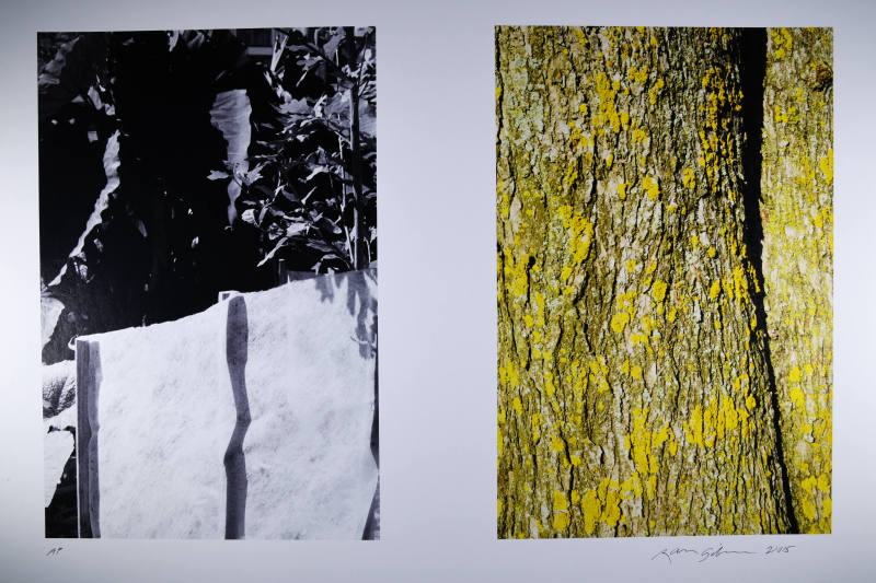 © Ralph Gibson.  Image courtesy of Michael C. Carlos Museum, Emory University.