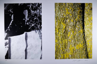 © Ralph Gibson.  Image courtesy of Michael C. Carlos Museum, Emory University.