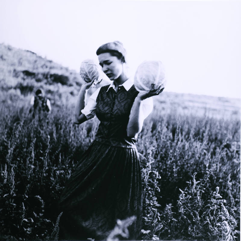 © Kristin Capp. Image courtesy Michael C. Carlos Museum, Emory University