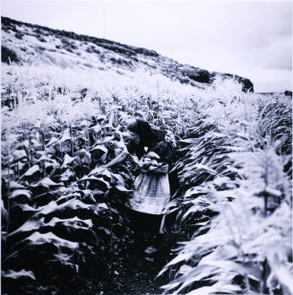 © Kristin Capp. Image courtesy Michael C. Carlos Museum, Emory University
