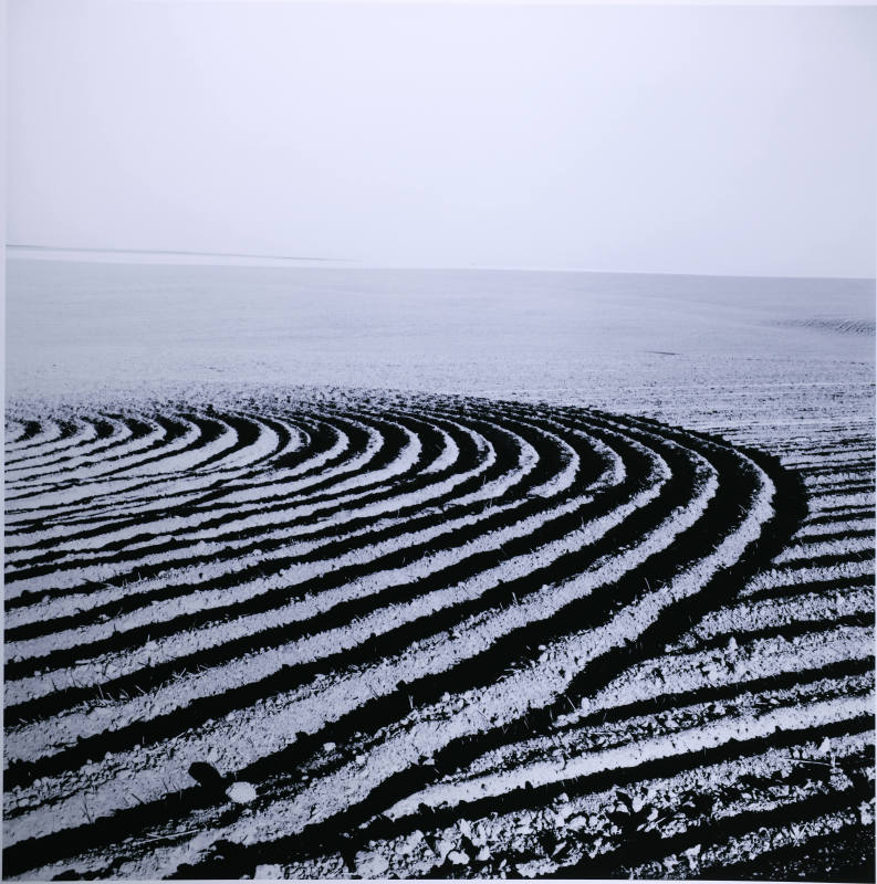 © Kristin Capp. Image courtesy Michael C. Carlos Museum, Emory University