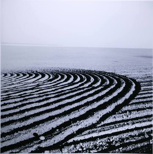 © Kristin Capp. Image courtesy Michael C. Carlos Museum, Emory University