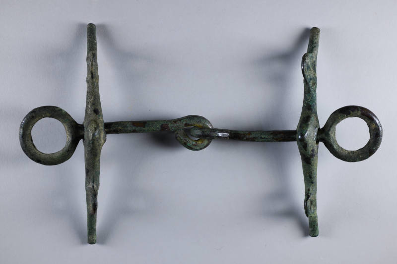 © Michael C. Carlos Museum, Emory University