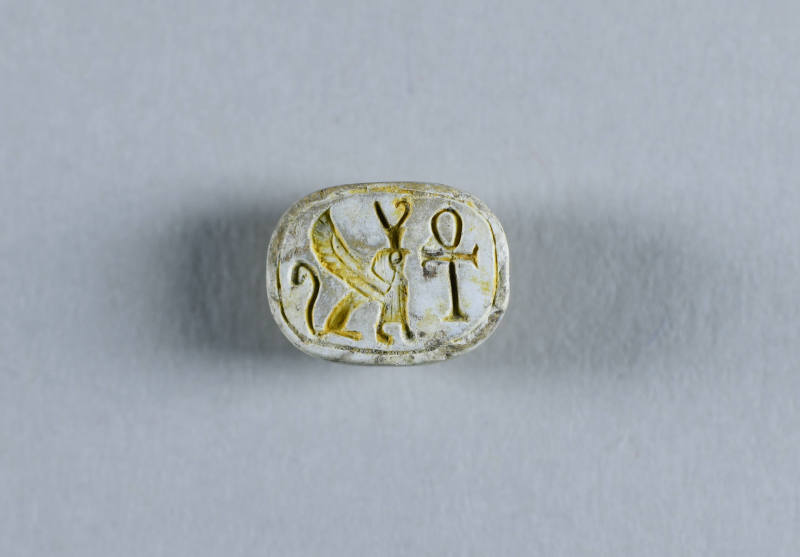 © Michael C. Carlos Museum, Emory University