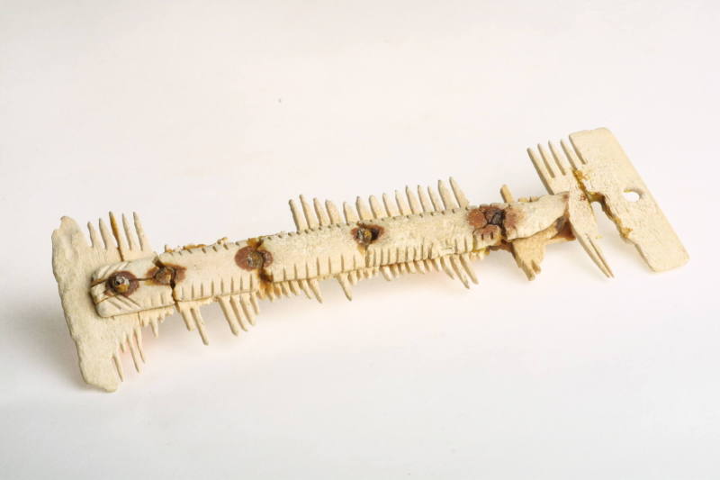 Courtesy of the Georges Ricard Foundation and the California Institute of World Archaeology